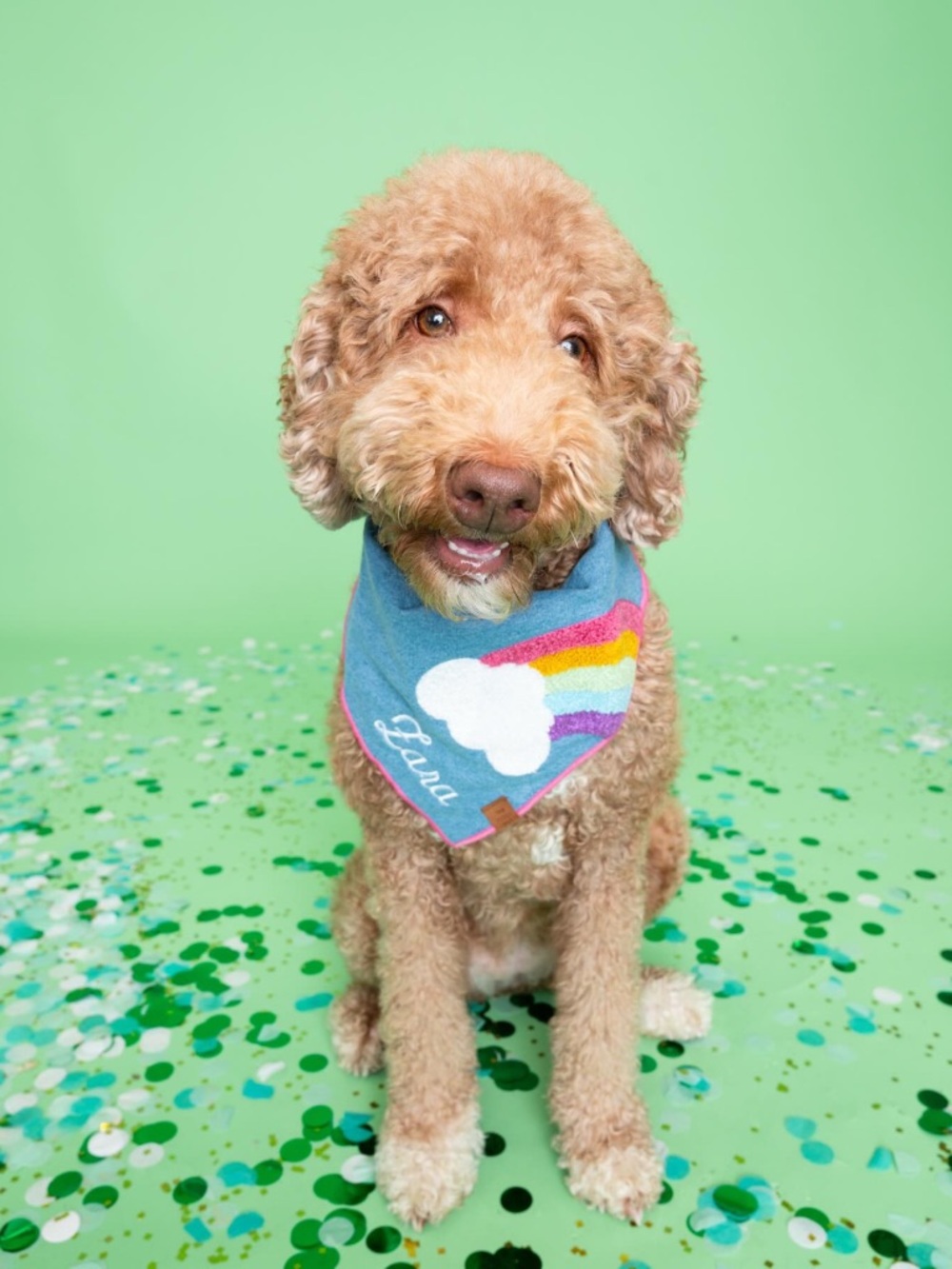 The Foggy Dog Rainbow Applique Dog Bandana
